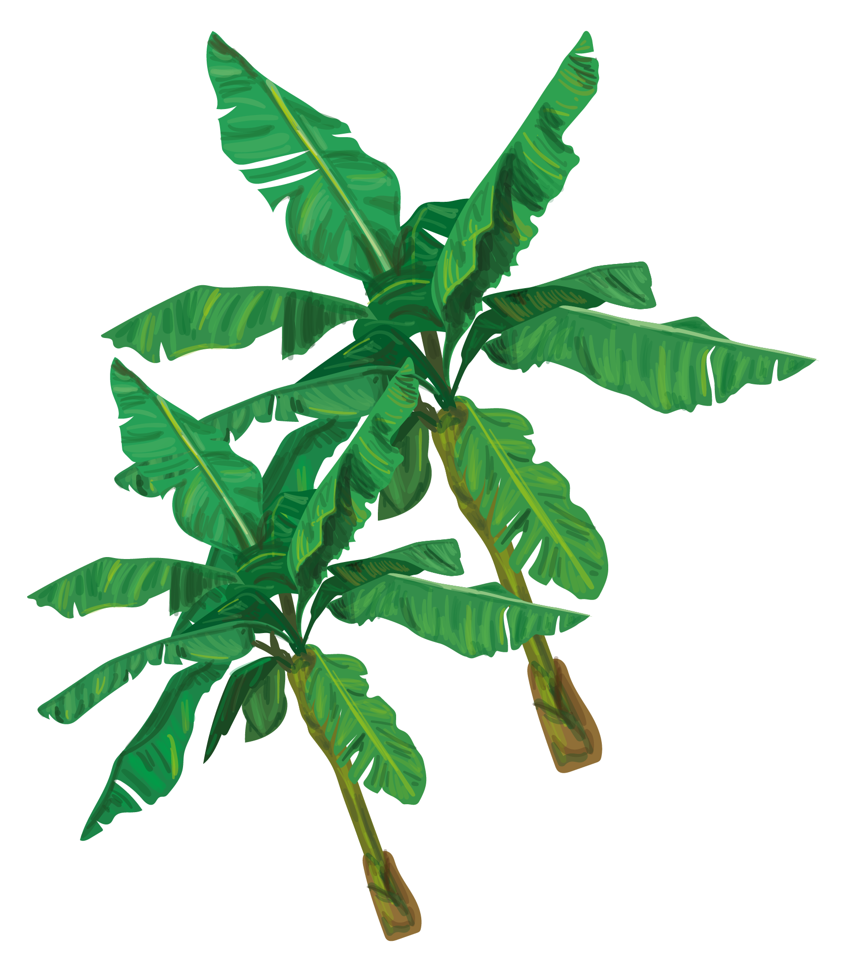 Hoja derecha