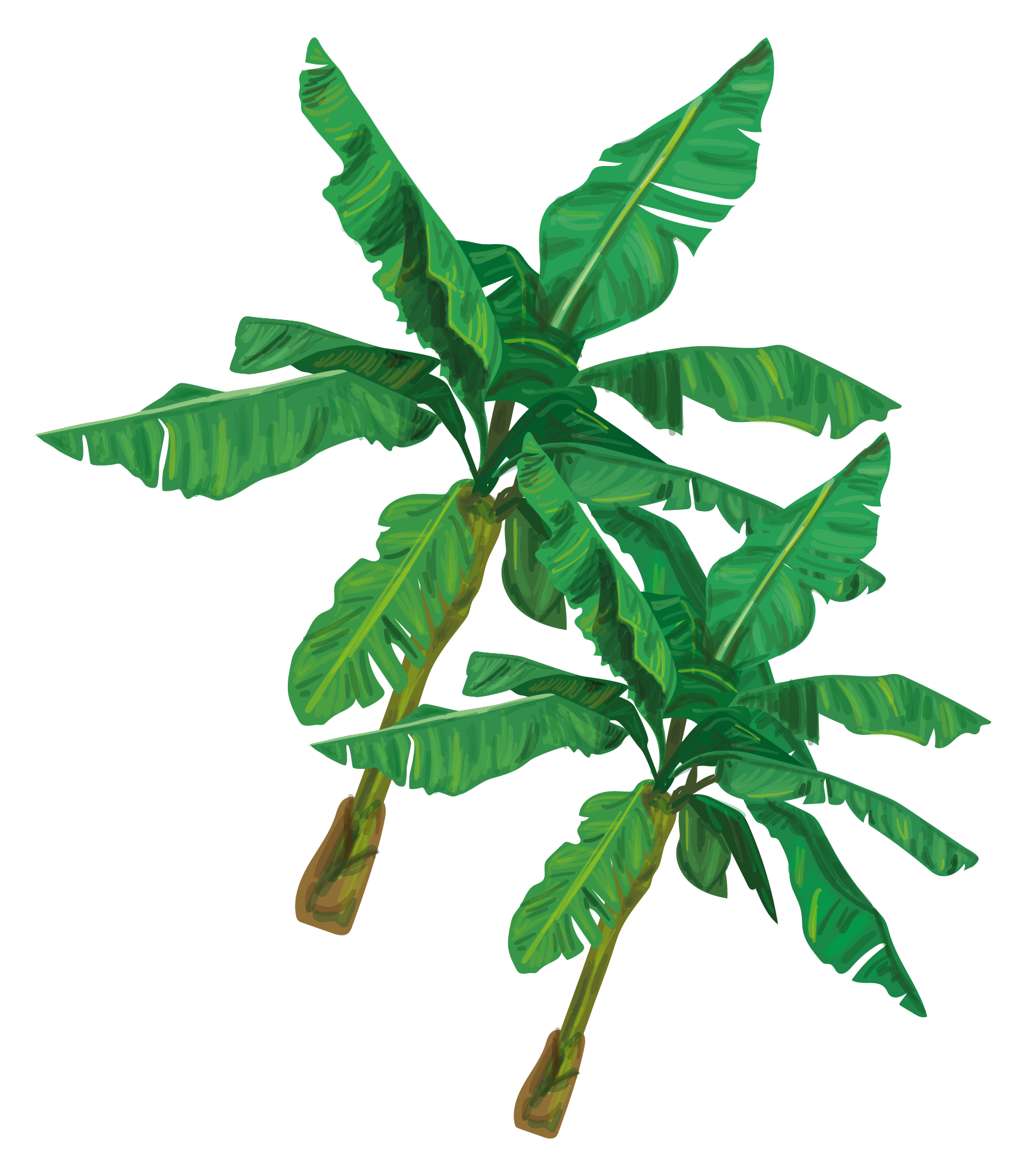 Hoja izquierda